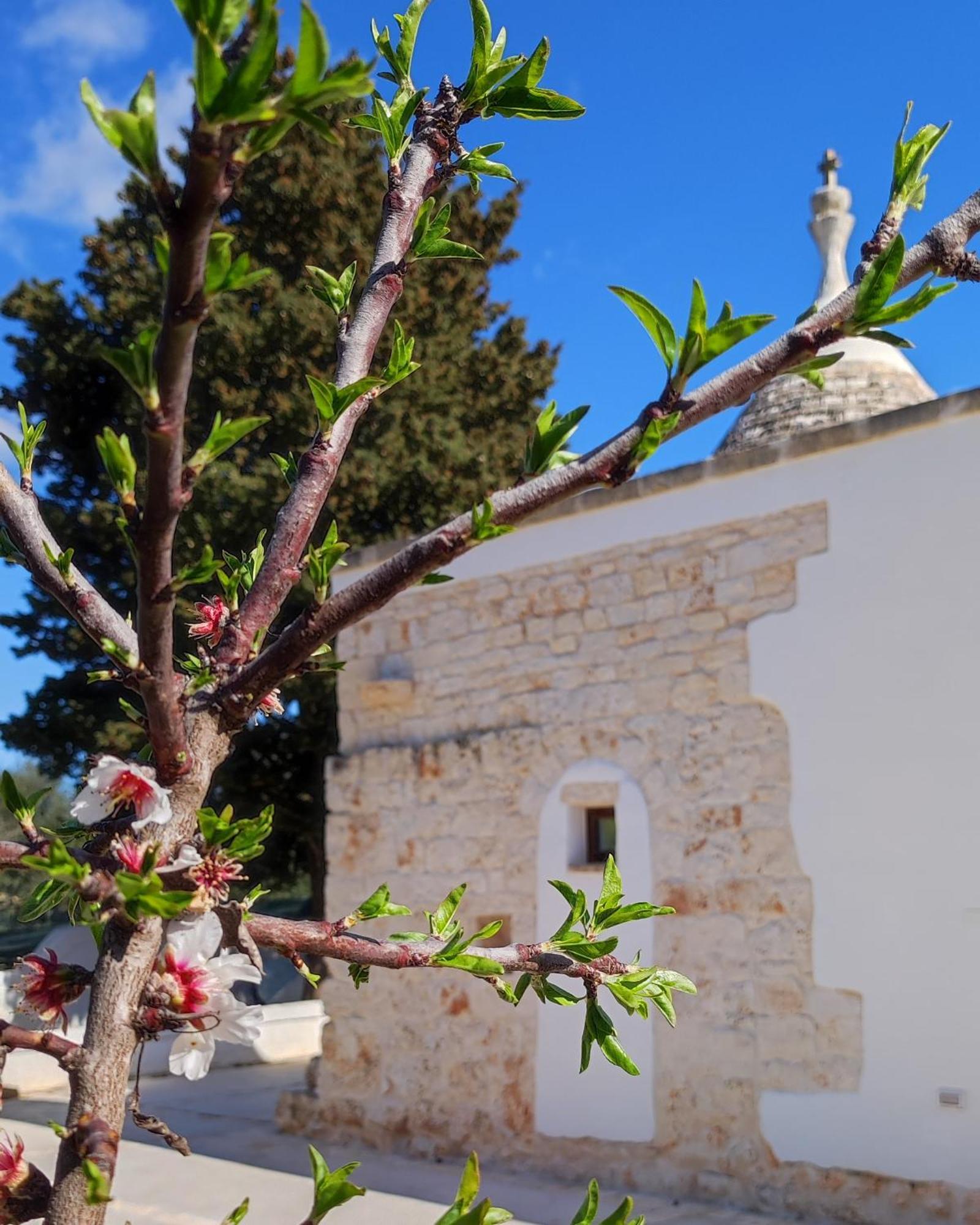 Trullo Zurlo Villa Ostuni Exterior photo