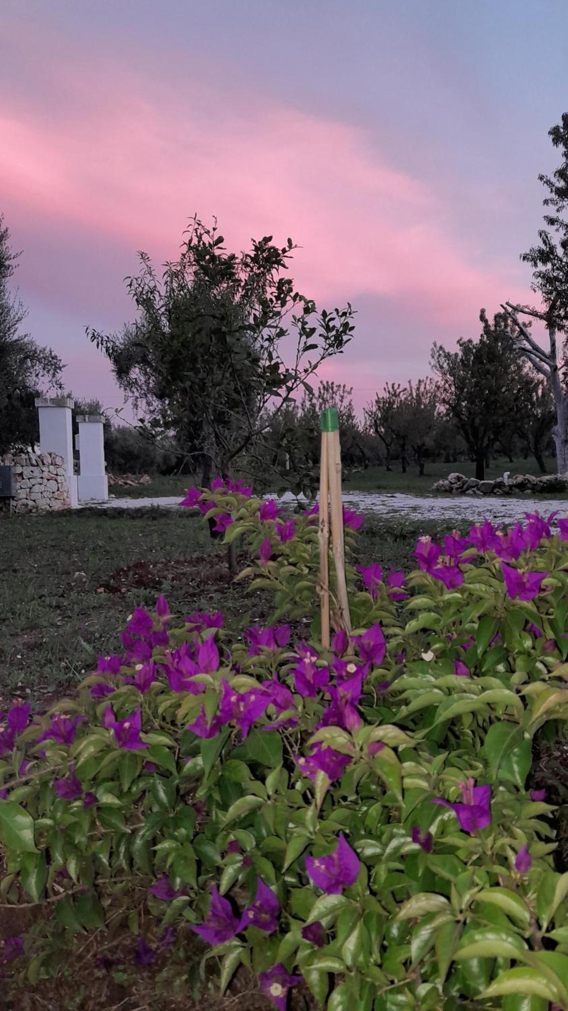 Trullo Zurlo Villa Ostuni Exterior photo
